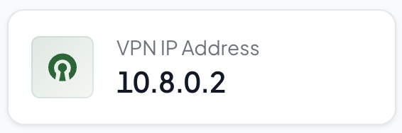 OpenVPN IP in management dashboard