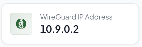 WireGuard IP in management dashboard